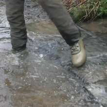 WetandMuddy: Video 49--Out for a Duck