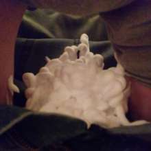 wet_stuffM: 