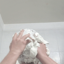 Lucullus: More pie fun