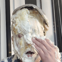 Lucullus: Butterscotch cream pies