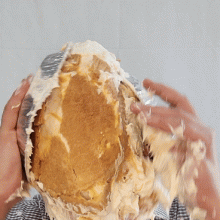 Lucullus: 4 butterscotch pies