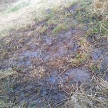 CreamMeAgain: I found a mud puddle!