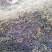 CreamMeAgain: I found a mud puddle!