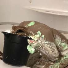 Kaydens: Kaydens The Teacher on How To Pie, Slime and Dunk!