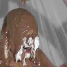 RevSlymsford: Messy Jessie and Annabelle: The Chef and The Dinner Lady