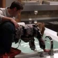 mad_mick_at: Modern Family bathtub scene (non yt-find)