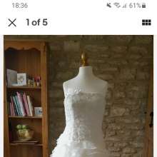 Widgy: Need help with my dream messy wedding experience