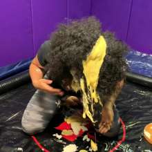 TheGungeZone: Spice's Messy Custard Quiz