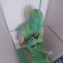 TheGungeProject: The Gunge Project S1, Ep 6: Ewan
