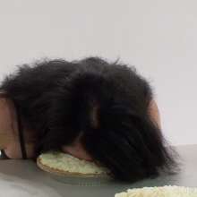 wamfan: The Pie Contest