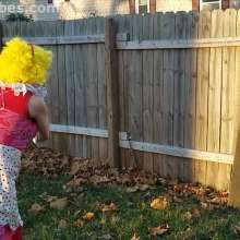 SlapstickBabes: New Clown Pie In The Face Video Up