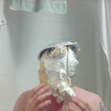 Lucullus: Some Pie Gifs