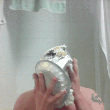 Lucullus: Some Pie Gifs