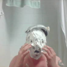 Lucullus: Some Pie Gifs