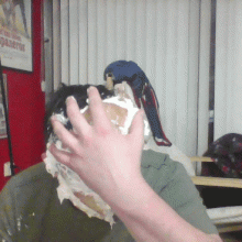 Lucullus: Old phone gifs