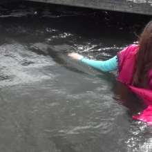 Wamtastic Jessica: Zara Swims 'for the First Time in Forever'.