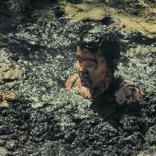 QS4Ever: Bog Pit Test: Mary