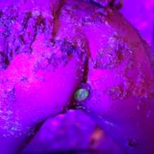 messyhot: Encina Has Her First Cake Experience with a Blacklight Cake