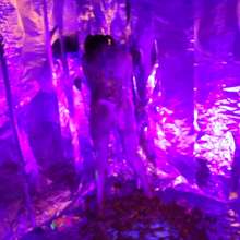 messyhot: Encina Has Her First Cake Experience with a Blacklight Cake