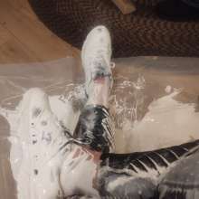 Messyshoes1985: 