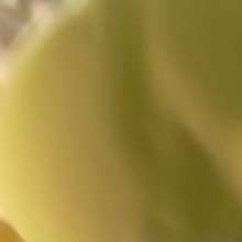 LiquidX: Lisa and Michaela in Full PVC Messing You (pov)