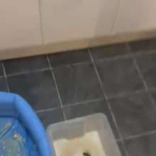 WAMfuns Messy Forfeits: Queen Peach Black Dress In Porridge