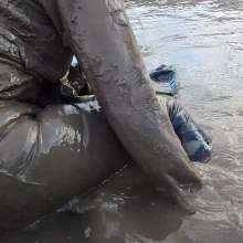 WetandMuddy: Video 81--Ocean Drive