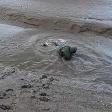 WetandMuddy: Video 81--Ocean Drive