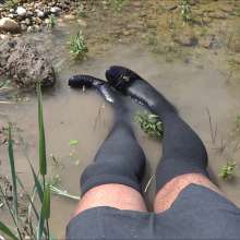 carlosstf33: Wet OfficeWear in Stream