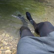 carlosstf33: Wet OfficeWear in Stream