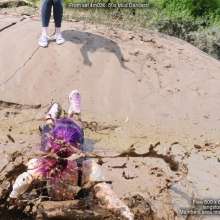 DungeonMasterOne: Violet Vixen and Isabeau, the 80s Mud Dancers!