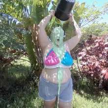 Darkabyss445: Bikini Top Messy Gunge and Pies