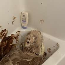 MuddyCock: Looking For Messy Fuck New England