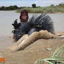 FOXY: Ayako as a ballerina does her show in the mud