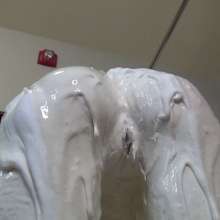 Jayce: Fully Coated and Sensory Deprived+joi+masturbation