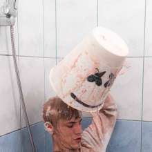 Your Wet Cat: He Was Punished with Lots of Pie and Chocolate on His Head!