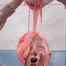 Your Wet Cat: He Was Punished with Lots of Pie and Chocolate on His Head!