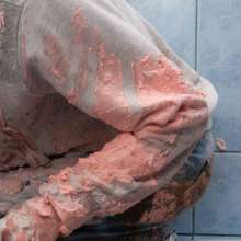 Your Wet Cat: He Was Punished with Lots of Pie and Chocolate on His Head!