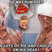 Your Wet Cat: He Was Punished with Lots of Pie and Chocolate on His Head!