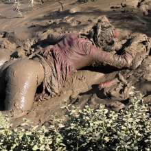 VioletVixen: Softcore Mud?