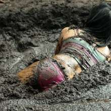 dlodoski: Jolly and Her Peat Addiction--Photos
