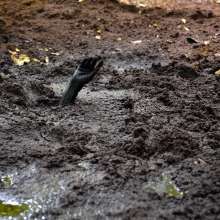 dlodoski: Quicksand Diviner--Photos