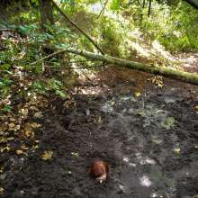 dlodoski: Quicksand Diviner--Photos
