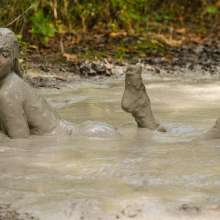 dlodoski: Star, Messy in Deep Clay--Photos