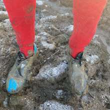 MuddySideUp: Muddy Blue Adidas F10's