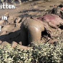 VioletVixen: Plugged in the Mud Kitten's Naughty Fun