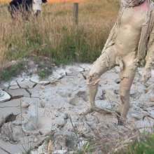 Mudadventurer: Site Inspection