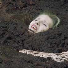 QS4Ever: Swamp Lily Collector: Lucy