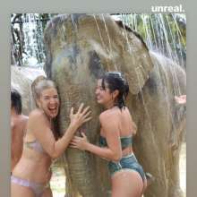 muddy_clothes: 18 Year Old Peyton Elizabeth Lee in an Elephant Mudbath