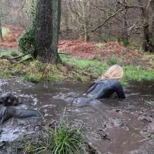 WetandMuddy: Video 97--Flood Pla'in